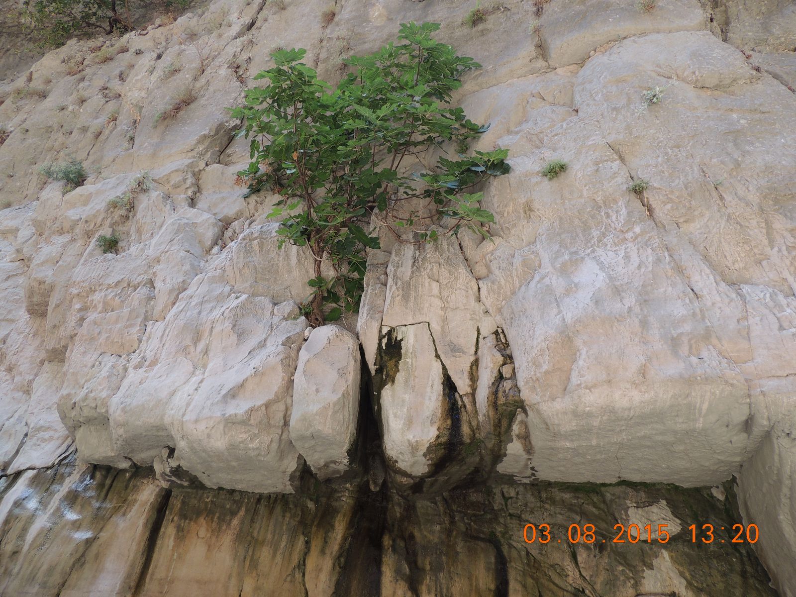 The bed running between the steep rock walls of Saklıkent Gorge.