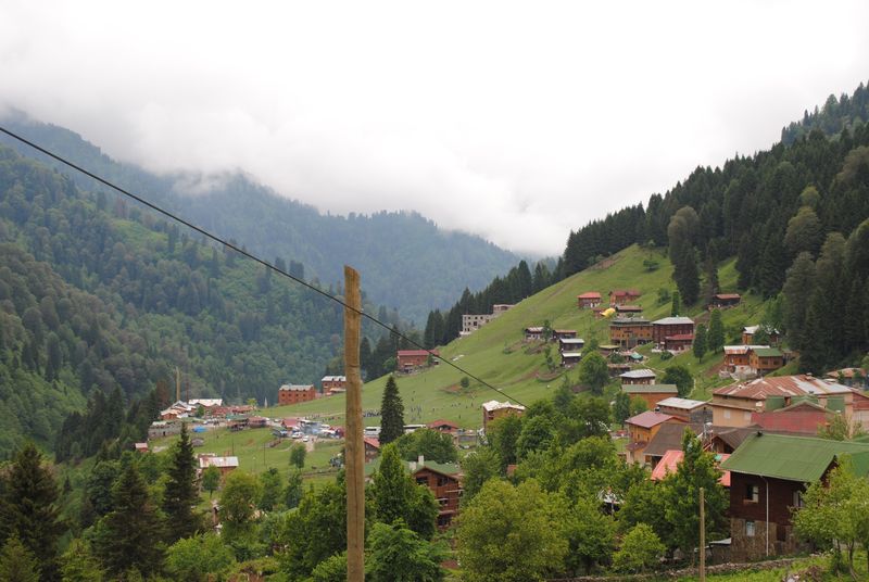 The green, forest-and-mountain slopes of Ayder Highland.